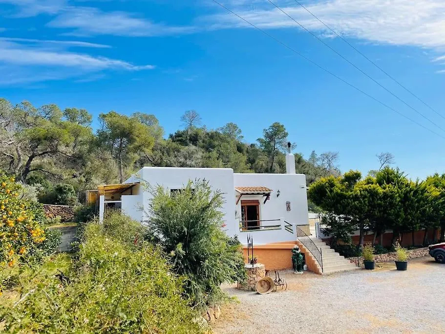 Villa Rocio San Antonio Abad España